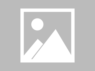 美股散户黑色星期二：妖股与币圈齐跌